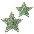 Floristik24 Deko Stern grün Drahtstern Set 10cm und 7cm 12 Stück