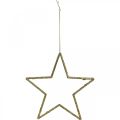 Floristik24 Weihnachtsdeko Stern Anhänger Golden Glitter 17,5cm 9St