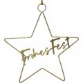 Floristik24 Stern “Frohes Fest”, Dekoring in Sternform, Metalldeko für Weihnachten Golden, Silbern 32×39,5cm