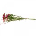 Rhodanthe Rosa-Pink, Seidenblumen, Kunstpflanze, Strohblumen-Bund L46cm