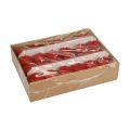 Stumpenkerzen Rote Adventskerzen klein Altrot 60/40mm 24St | Floristik24.ch