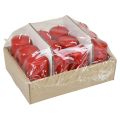 Stumpenkerzen H100 Ø50cm Rot Kerzen 12St | Floristik24.ch