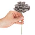 Künstliche Sukkulenten aus Wachs grau-grün 10 cm Set 6 Stück | Floristik24.ch