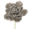 Floristik24 Künstliche Sukkulenten aus Wachs mit Drahtkern, 8 cm, graugrün, 8er-Set