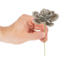 Künstliche Sukkulenten aus Wachs mit Drahtkern, 8 cm, graugrün, 8er-Set | Floristik24.ch