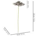 Künstliche Sukkulenten aus Wachs mit Drahtkern, 8 cm, graugrün, 8er-Set | Floristik24.ch