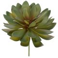 Floristik24 Künstliche Sukkulenten grün aus Kunststoff 18 cm 3er-Set für Innenräume