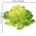 Künstliche Sukkulenten grün 10 cm Set 4 Stück für Schale oder Vase | Floristik24.ch