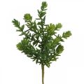 Floristik24 Sukkulente Künstliche Grünpflanze zum Stecken 25cm Grün 2St