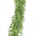 Floristik24 Sukkulente hängend künstlich Hängepflanze Grün 96cm