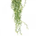 Floristik24 Sukkulente hängend künstlich Hängepflanze Grün 96cm