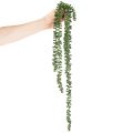 Künstliche Sukkulenten-Girlande Grün 80 cm Innenbereich | Floristik24.ch