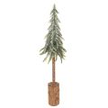 Floristik24 Künstliche Tanne 60cm mit Schneeoptik und Holzsockel
