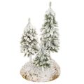 Floristik24 Schneetannen 29cm mit Moosunterlage für Tisch- und Weihnachtsdekoration