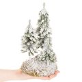 Schneetannen 29cm mit Moosunterlage für Tisch- und Weihnachtsdekoration | Floristik24.ch