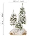 Schneetannen 29cm mit Moosunterlage für Tisch- und Weihnachtsdekoration | Floristik24.ch