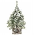 Floristik24 Tannenbaum mit Schnee, Weihnachtsdeko, Deko-Tanne H14cm