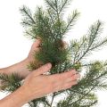 Deko-Tannenzweig künstlich 175 cm Grün für Innenbereich | Floristik24.ch
