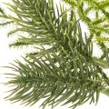 Künstlicher Tannenzweig aus Kunststoff 22 cm Grün 2er-Set für saisonale Dekoration | Floristik24.ch