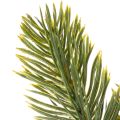 Künstlicher Tannenzweig aus grünem Kunststoff für winterliche Dekorationen 25 cm, 24 Stück | Floristik24.ch