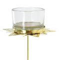 Floristik24 Teelichthalter Stern Gold 23,5cm 4St