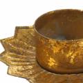 Teelichthalter zum Stecken Metall in Gold Ø9cm H9cm 4St | Floristik24.ch