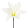Floristik24 Künstliche Tigerlilie weiss Bund mit 6 Stück 29 cm für Innenbereich