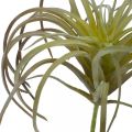 Floristik24 Tillandsie künstlich zum Stecken Grün-Lila Kunstpflanze 13cm