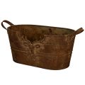 Floristik24 Ovale Metallschale mit Griffen und Hirschmotiv im Rost-Look 36 cm
