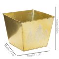 Pflanzgefäss Metall gold mit Tannenmotiv 18cm | Floristik24.ch