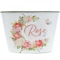 Floristik24 Pflanzgefäß, Dekotopf Rosen, Blumenschale L19cm H12,5cm