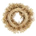 Trockenblumenkranz gebleicht Deko Kranz Creme Ø25cm | Floristik24.ch