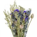 Floristik24 Trockenblumenstrauß Strauß Wiesenblumen Blau H50cm 100g