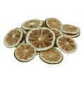 Floristik24 Limonenscheiben grün 500g Limettenscheiben