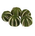 Floristik24 Limetten ganz Grün 500g