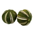 Limetten ganz Grün 500g | Floristik24.ch