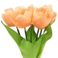 Floristik24 Tulpe künstlich Pfirsichfarben 26,5cm  5St