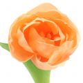 Floristik24 Tulpe künstlich Pfirsichfarben 26,5cm  5St