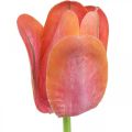 Floristik24 Tulpe Kunstblume Rot, Orange Künstliche Frühlingsblume H67cm