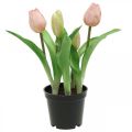 Floristik24 Tulpe Rosa, Grün im Topf Künstliche Topfpflanze Dekotulpe H23cm