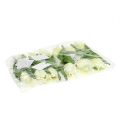 Floristik24 Frühlingsdeko, Künstliche Tulpen, Seidenblumen, Deko-Tulpen Grün/Creme 12St