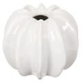 Floristik24 Kürbis-Keramikvase Weiss 15cm für Wohn- und Herbstdekoration