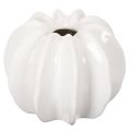 Floristik24 Kürbis-Dekovase Keramik glänzend weiss 19cm Herbstdekoration