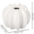 Kürbis-Dekovase Keramik glänzend weiss 19cm Herbstdekoration | Floristik24.ch