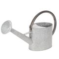 Floristik24 Metall Giesskanne Silbergrau L53cm H29cm für Gartendeko und Blumenarrangements
