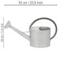 Metall Giesskanne Silbergrau L53cm H29cm für Gartendeko und Blumenarrangements | Floristik24.ch