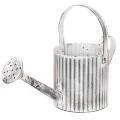 Floristik24 Vintage Pflanzkanne Ø17cm aus Metall, Weiss-Silber, Deko-Giesskanne für Innen- und Aussenbereich