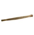 Floristik24 Vlei Reed 400g Natur