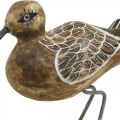 Floristik24 Vogel-Skulptur aus Holz, Baddeko, Wasservogel H22cm
