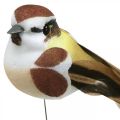 Floristik24 Frühlingsdeko, Vögeln am Draht, künstlicher Vogel Braun, Weiß H3cm 12St